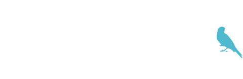 Te Soñé