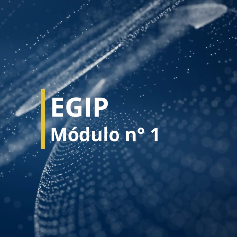 EGIP Módulo 1: Primer paso en tu gestión interna personal - comprar online