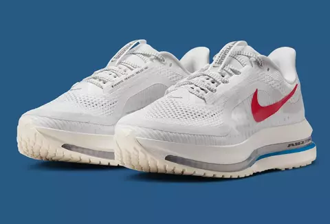 Nike Wmns Pegasus Premium 'Forrest Gump' - comprar online