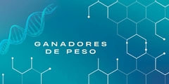 Banner de la categoría GANADORES DE PESO