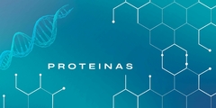 Banner de la categoría PROTEINAS