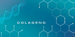 Banner de la categoría COLAGENO