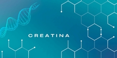Banner de la categoría CREATINA