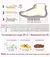 Imagem do Tênis Masculino Casual Slip-On – Conforto e Estilo Respirável para o Dia a Dia