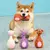 Brinquedo Interativo para cães Animais Divertidos na internet