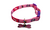 Coleira Dog Junior Premium 10mm Com Placa de Identificação - Zeeg Pets