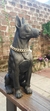 Perro Parlante Bluetooth Doberman en internet
