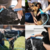 Imagem do Escova de Banho com Mangueira para Pets LMZ0255