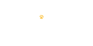 PitéCão