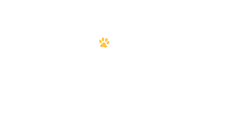PitéCão