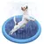 SplashPool – Piscina Interativa para Cães e Gatos | Diversão Refrescante no Verão!