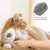 Pet Dog Brush – Escova Profissional de Aço Inoxidável para Cães - loja online