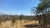 Chácara de 20.000 m² - comprar online