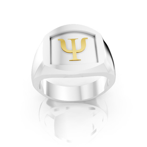 Anél de Formatura Masculino em Prata FP-051 - comprar online