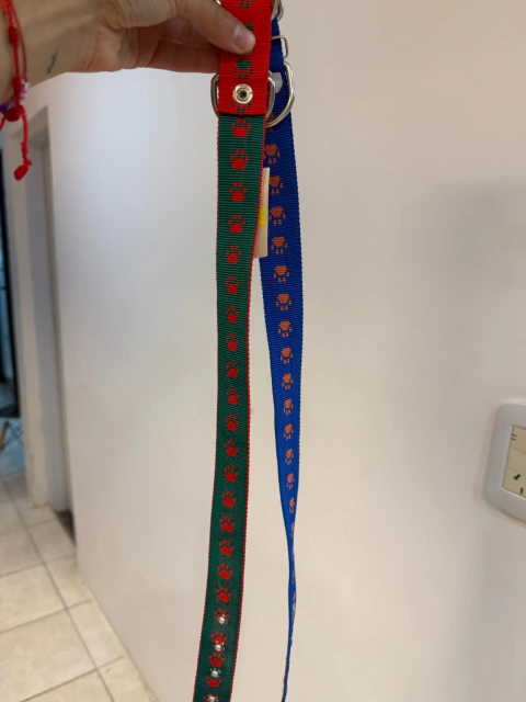 Collares fijos y regulables clásicos