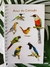 Caderneta de Campo Aves do Cerrado - comprar online