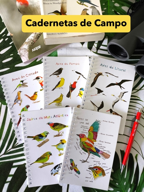 Carrossel 1