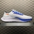 Tênis Nike Pegasus na internet