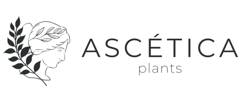 Ascetica