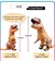 Imagem do T-Rex Gigante | Fantasia Inflável Divertida para Crianças e Adultos