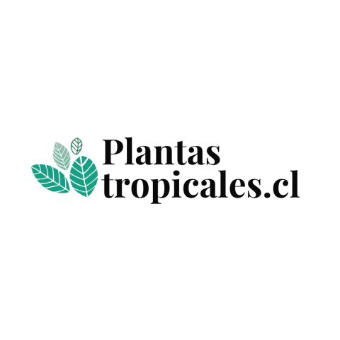 PLANTASTROPICALES.CL