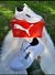 puma - tienda online