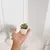 Imagem do 6 vasos de decoração para casa, mini plantas em vasos suculentas artificiais