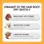 Secador de cabelo para animais de estimação