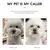 Secador de cabelo para animais de estimação - comprar online