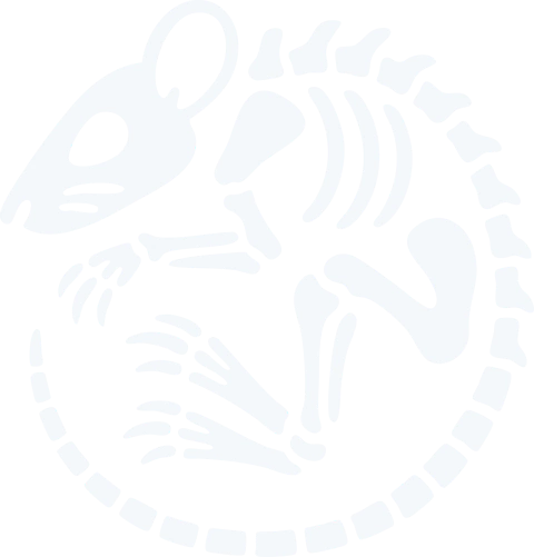 Specimen Clothing