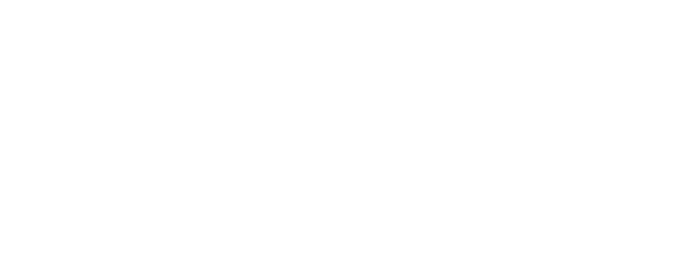 ALESSANDRA BRAGA SEMIJOIAS