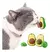 Catnip Palta - Pet Shop Animaux