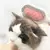 Pente Limpo para Remoção de Pelos de Cães e Gatos - comprar online