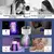 Lâmpada Elétrica Mata-Mosquitos Com Luz UV Usb Recarregável