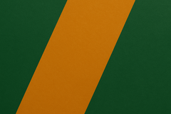 Banner de la categoría Verde Plus