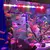AquaGlow RGB – Lâmpada LED Submersível Multicolorida na internet