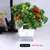 AquaSmart Pot – Vaso Autoirrigável com Corda de Algodão - Amor de Quintal