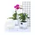 AquaSmart Pot – Vaso Autoirrigável com Corda de Algodão na internet