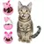 PetiscoPlay – Bola Dispensadora de Comida para Gatos - loja online