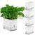 AquaSmart Pot – Vaso Autoirrigável com Corda de Algodão - loja online