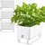 AquaSmart Pot – Vaso Autoirrigável com Corda de Algodão - Amor de Quintal