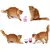 PetiscoPlay – Bola Dispensadora de Comida para Gatos - Amor de Quintal