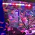 Imagem do AquaGlow RGB – Lâmpada LED Submersível Multicolorida
