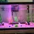 AquaGlow RGB – Lâmpada LED Submersível Multicolorida - comprar online