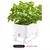 AquaSmart Pot – Vaso Autoirrigável com Corda de Algodão - Amor de Quintal