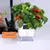 AquaSmart Pot – Vaso Autoirrigável com Corda de Algodão - comprar online