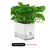 AquaSmart Pot – Vaso Autoirrigável com Corda de Algodão - comprar online