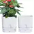 AquaSmart Pot – Vaso Autoirrigável com Corda de Algodão - Amor de Quintal