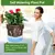 AquaSmart Pot – Vaso Autoirrigável com Corda de Algodão - comprar online