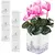 Imagem do AquaSmart Pot – Vaso Autoirrigável com Corda de Algodão